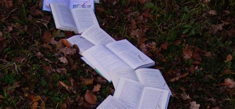 Exploring the Wonders of Nature: An Overview of the Different Types of ...