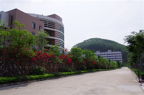 肇庆学院