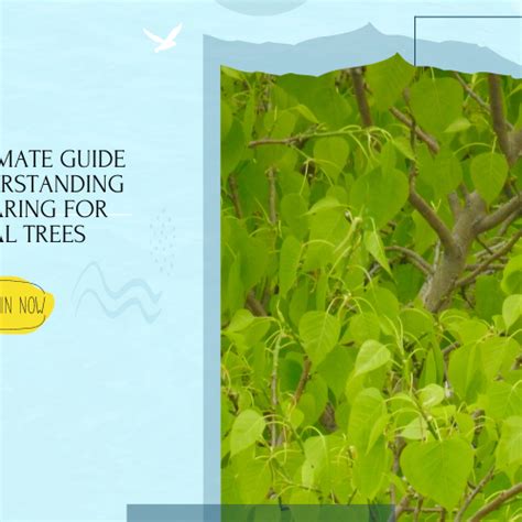 Best Gardening Tips | News and Care — Tagged "Peepal tree" — Mahindra ...