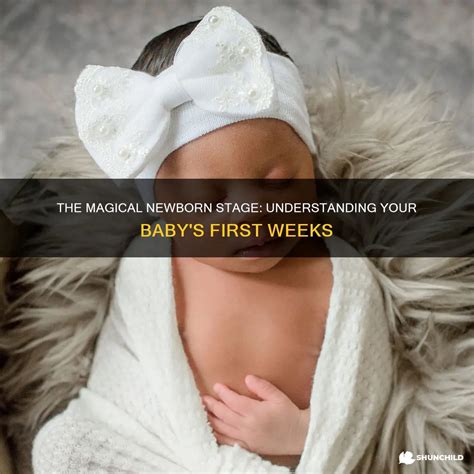 The Magical Newborn Stage: Understanding Your Baby's First Weeks | ShunChild