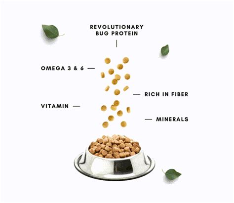 Boggos Dog Food – Gut-Friendly, Hypoallergenic & Sustainable