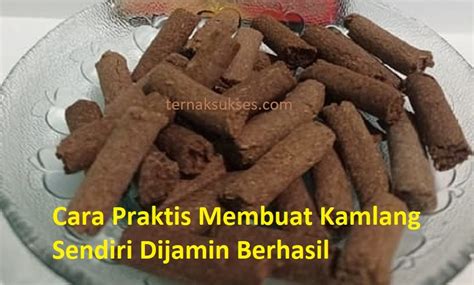 manfaat kamlang ayam aduan