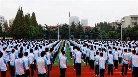 襄阳高新外国语（集团）学校 - 襄阳高新外国语（集团）学校