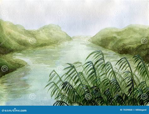 Swamp Cartoon 的图像结果