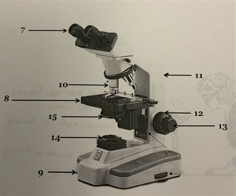 Image result for Lab Week Microscope