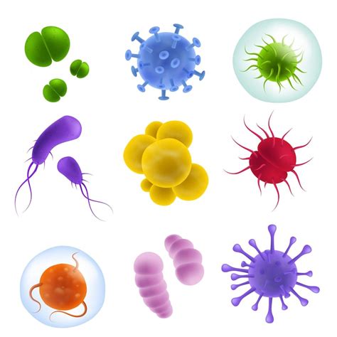 Bacteria Vectors - Download Free High-Quality Vectors from Freepik ...