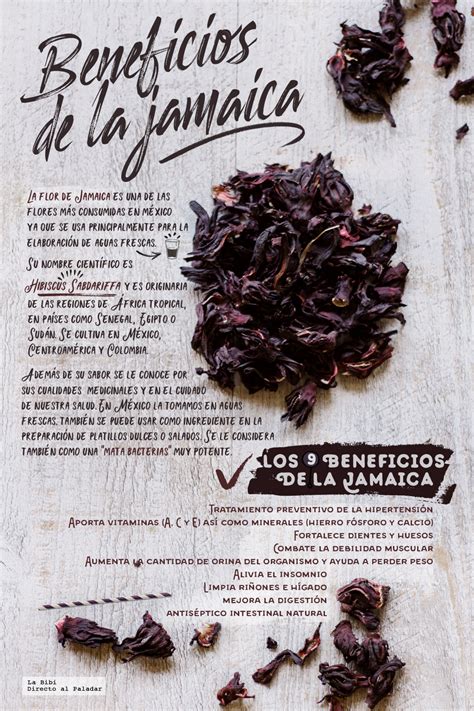 Los 9 beneficios de la Flor de Jamaica.Infografia