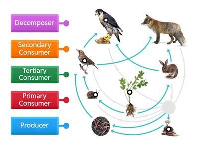 Image result for Science Form 2 Chapter 3