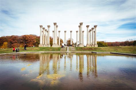 United States National Arboretum: Capitol Columns & Bonsai Trees