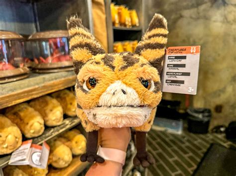 A Popular Star Wars Souvenir is Back in Stock After Over a YEAR ...