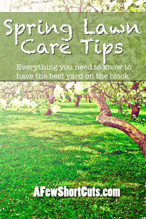 Image result for Spring Lawn Care Tips
