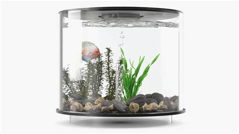 Black Cylinder Fish Tank 3D Model - TurboSquid 2133689