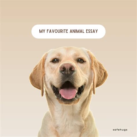 My Favourite Animal Essay for Kids | Essays on Dog, Cat, and More