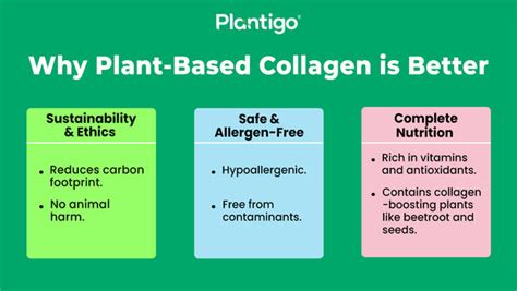 Plant-Based vs. Animal Collagen: Which One is Right for You?