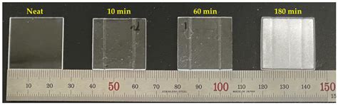 Solid-State Surface Patterning on Polymer Using the Microcellular ...