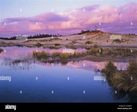 Reedsport oregon hi-res stock photography and images - Alamy