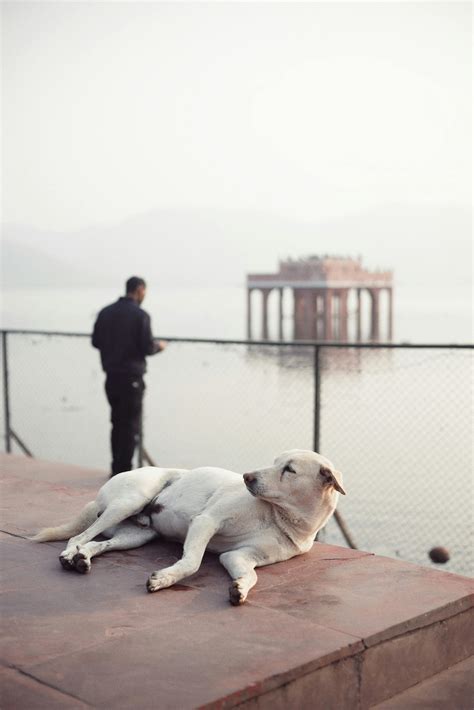 Techy Background 的图像结果