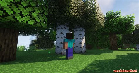 Image result for Tree Mod