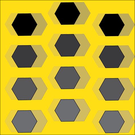 Pattern Exercise 的图像结果