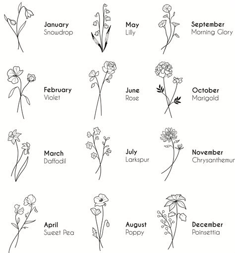 May Australian Birth Flower at Lisa Delarosa blog