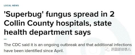 美国医院蔓延超级真菌，已感染百余人，致3人死亡 - 时事 - 佳礼资讯网