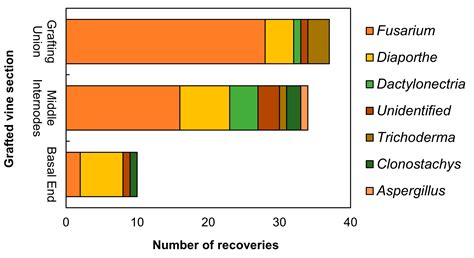 Resolving Diaporthe Species Diversity Associated with Grapevine ...