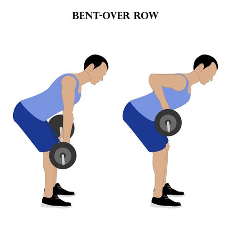 11 Seated Cable Row Alternatives (Home and Gym Versions) - Be in shape