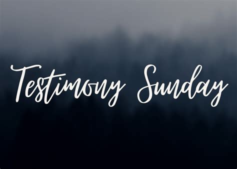 Image result for Common Core Testimony