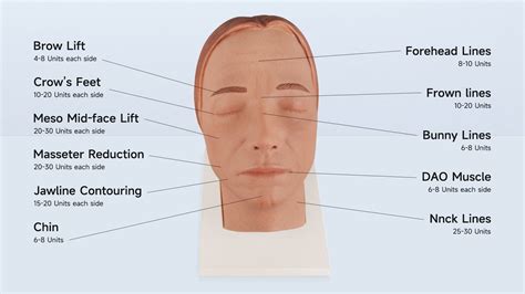 Image result for Botox Injection Guide