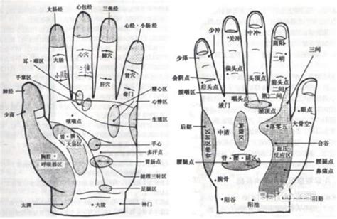 人体手部穴位图（高清详解） 手掌穴位图解大全 - 知乎
