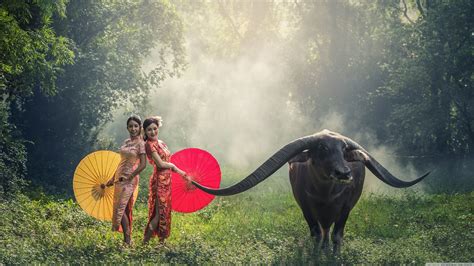 Asia Wallpaper 4K 的图像结果