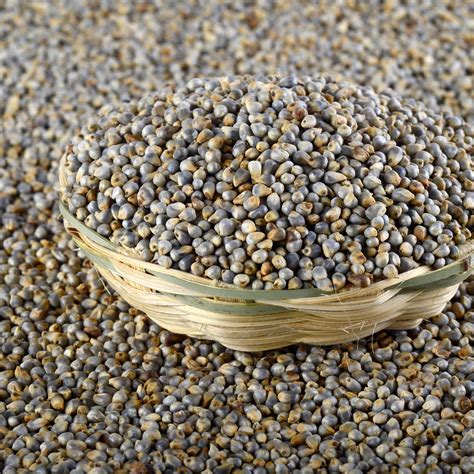 Pearl Millet – Anesree International: Premium Millets, Spices & Food ...