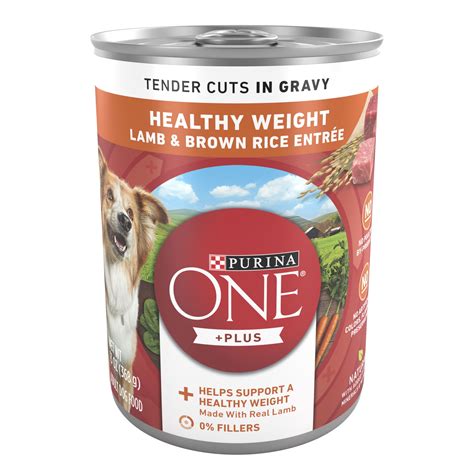 Purina ONE High Protein Wet Dog Food with Real Lamb and Brown Rice, 13 ...