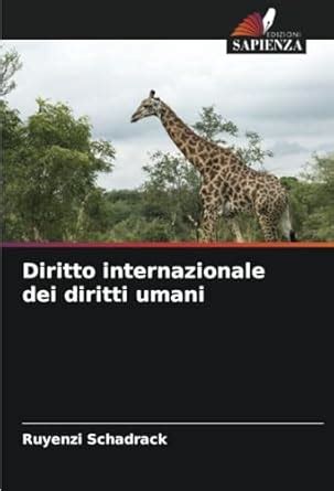 Buy Diritto internazionale dei diritti umani Book Online at Low Prices ...