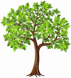 Clipart Transparent Background Tree Images by Tree Clipart Free On Clipartmag Clipart Transparent Background Tree Images
