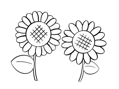 Image result for Copy Paste Problem