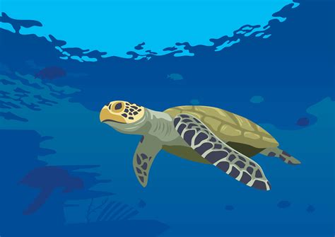 Sea Turtle ClipArt