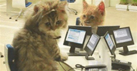 Image result for Example of Functional Programming in Python
