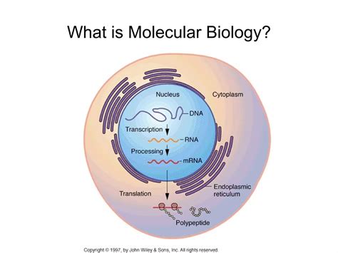 Biol2 Lecture 1 V1 | PPT
