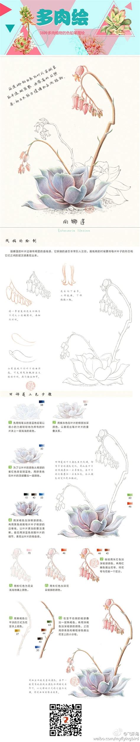 180 ý tưởng hay nhất về flower step by step | hoa, nghệ thuật, hình vẽ hoa