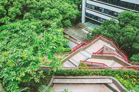 【携程攻略】香港香港大学景点,香港大学环境优美，建筑风格特别，世界大学排名第28名！