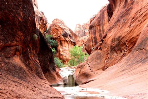 Campgrounds Near Duck Creek Utah: Scenic Camping Spots