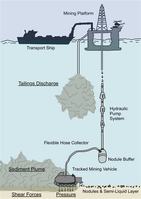 Deep Sea Floor Diagram