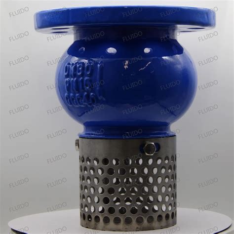Cast Iron One Way Vertical Check Foot Valve - China Foot Valve and ...
