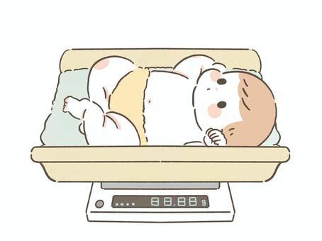 Image result for Back End Software Developer Python Flask