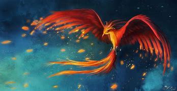 phoenix 的图像结果