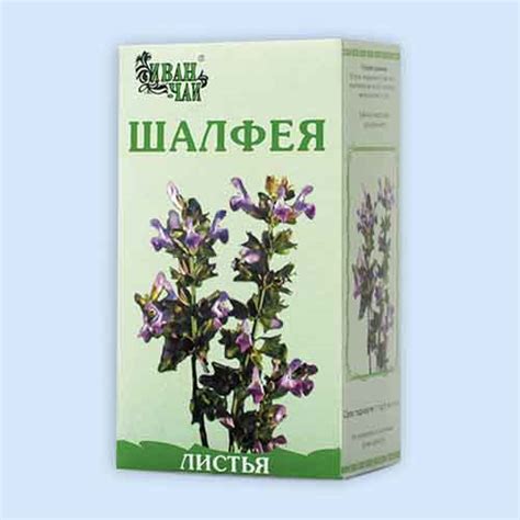 чем полезен шалфей для мужчин
