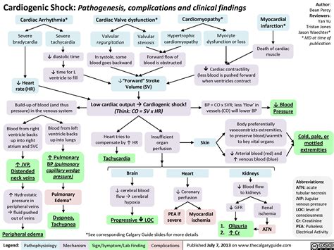 Cardiogenic Shock Algorithm 的图像结果