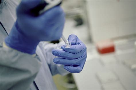 Genetic Testing Procedure 的图像结果