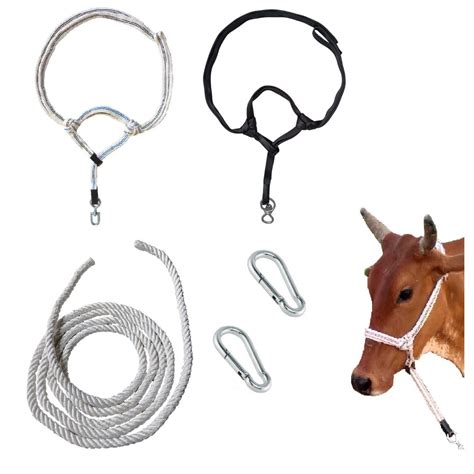Buy EFTI 2 Halters with Leash and 2 Snaphook for Cow Buffalo Online at ...